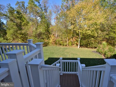 6528 Macklin St, Haymarket, VA 20169 - photo 7
