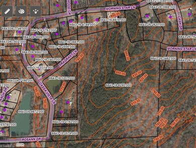 Topo Map - 10 ft. Contours