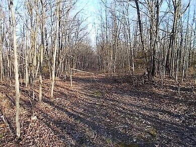 0 State Highway 248 unit 60105000, Jenkins, MO 65605 - photo 7