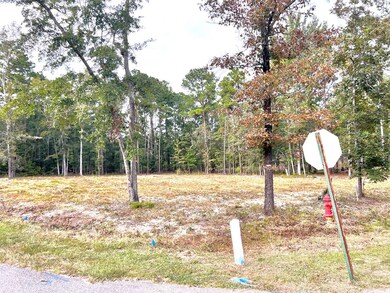 Lot View from behind stop sign