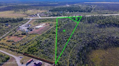 Two lots in Matanuska-Susitna, AK (4)