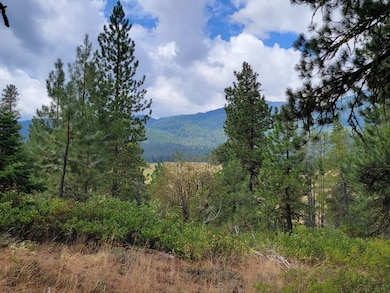 Mountain views