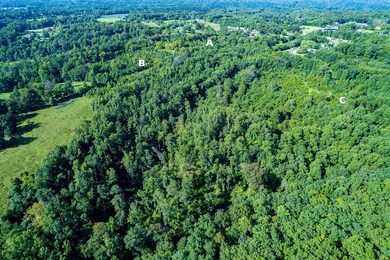 0 50 Ac Smith Ln, Cookeville, TN 38501 - photo 6