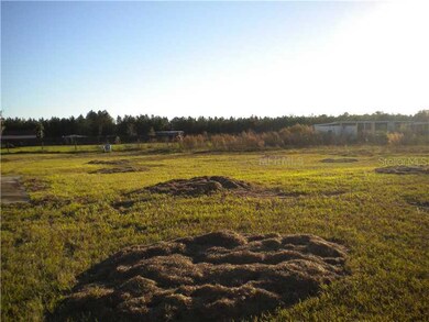 3109 Bohannon Rd, Zephyrhills, FL 33541 - photo 7