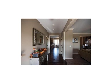 Look at these beautiful floors in the entry!  Dark