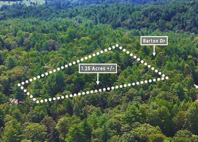 211 Bartox Dr, Ellijay, GA 30540 - photo 7