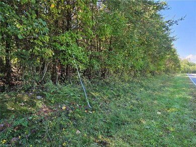 Blue and White ribbons are the approximate location of the corners.