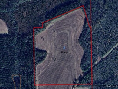 0 Chamblee Rd unit 552298, Kinston, AL 36453 - photo 3