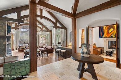 761 Moore Dr, Aspen, CO 81611 - photo 3