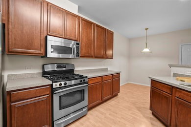 8815 Concord Ln unit G, Justice, IL 60458 - photo 5