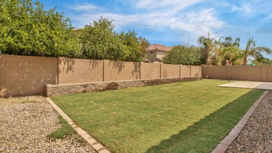 Bermuda grass