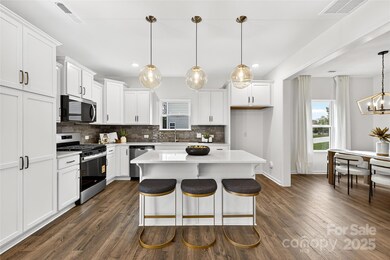 10423 Lakeshore Dr unit 71, Lancaster, SC 29720 - photo 5