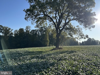 0 Troyer Rd, Hereford, MD 21111 - photo 4