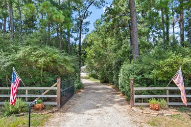 31202 N High Meadow Cir, Magnolia, TX 77355 - photo 2