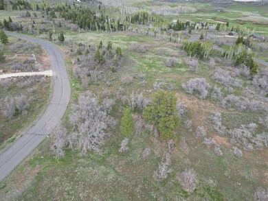 DJI_0578