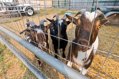 10 Sandra Ln, Great Falls, MT 59405 - photo 5