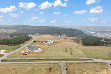 03-DJI_0541