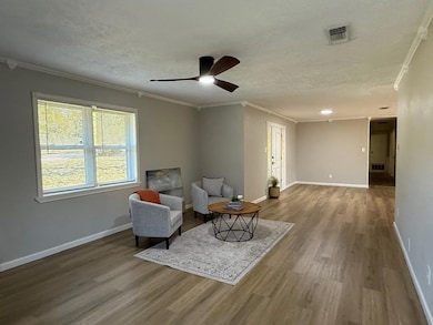 711 W Lanark St, Queen City, TX 75572 - photo 4