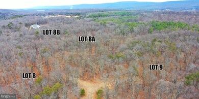 Lots 8A & 8B Reynolds Rd, Cross Junction, VA 22625 - photo 4