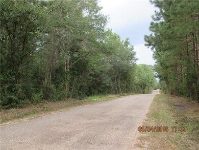 999 Par Road 216, Angie, LA 70426 - photo 3