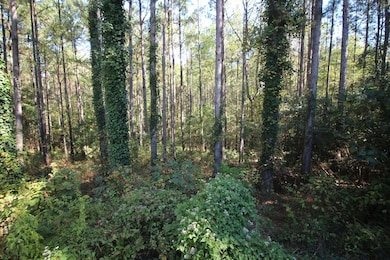 14.5 acres with mature pine trees