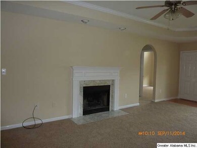 Fireplace in Great Room