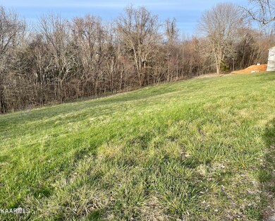 2041 Bear Creek Point, Cookeville, TN 38506 - photo 3