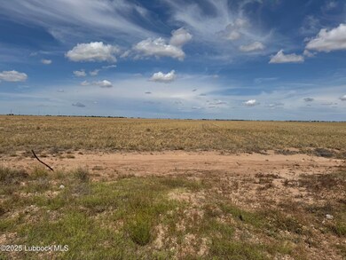 IMG_6101