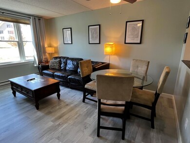 28 Packard's Rd unit 213, Waterville Valley, NH 03215 - photo 3