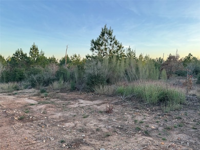 TBD State Highway 71, Bastrop, TX 78602 - photo 5