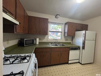 1910 Jeanette Ln unit 2, Springfield, IL 62702 - photo 4