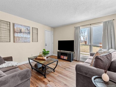 Open & Airy with New Windows