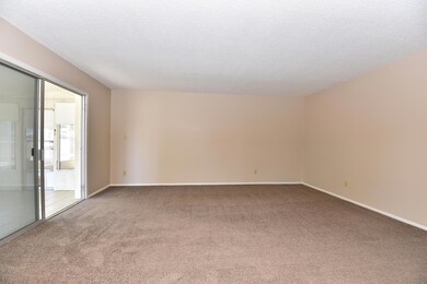 Spacious living/great room.