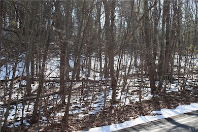 21 Deer Path, East Stroudsburg, PA 18302 - photo 2