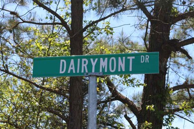 1590 Hillside Dairy Rd, Pittsboro, NC 27312 - photo 5