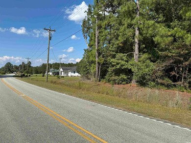 TBD Mount Olive Rd, Loris, SC 29569 - photo 4