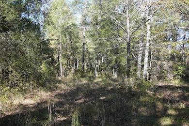 TBD Mississippi 15, Mathiston, MS 39752 - photo 7