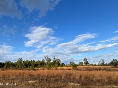 Nhn Matthew Johnson Rd, Wiggins, MS 39577 - photo 5