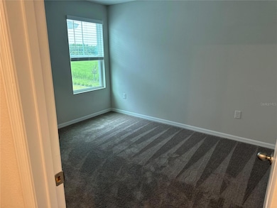 7959 Peace Lily Ave, Wesley Chapel, FL 33545 - photo 5