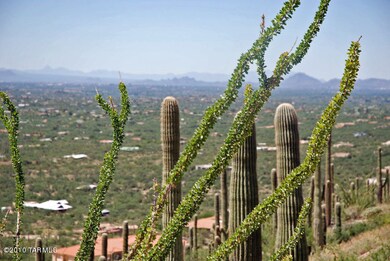 View Southwest