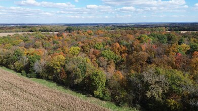 0000 Pawnee Dr, New London, MO 63459 - photo 6