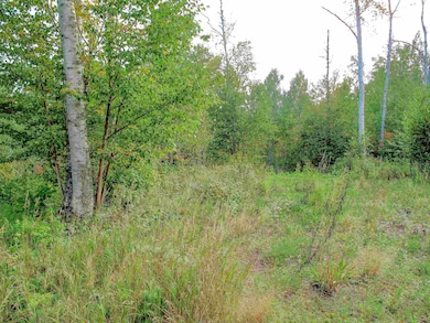 9223 Minnesota 61, Schroeder, MN 55613 - photo 6