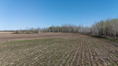 000 Crooked Lake Rd, Danforth Township, MN 55072 - photo 5