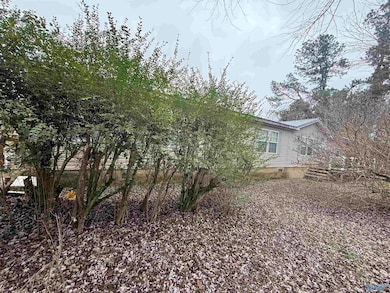 9822 Alabama 71, Pisgah, AL 35765 - photo 6