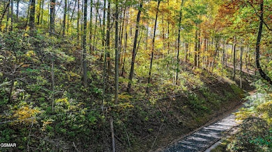 DJI_20241029124036_0086_D