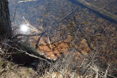 Lot 2 Glendening Rd, Swiss Township, WI 54830 - photo 4