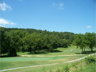 -- Mckenzie Way, Bella Vista, AR 72715 - photo 3