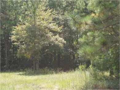 0970000142-image1