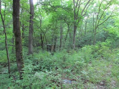 12564 Parker Branch Rd, West Fork, AR 72774 - photo 4