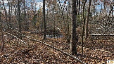 0 Gaddie Cottrell unit SC47484, Bonnieville, KY 42713 - photo 6